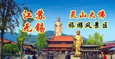 老骚逼网站app江苏无锡灵山大佛旅游风景区